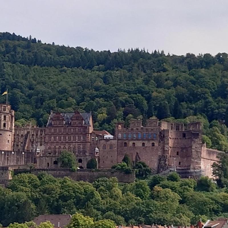 Blick auf das Heidelberger Schloss