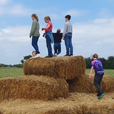 Kleiner Zwischenstop beim Roggen-Labyrinth
