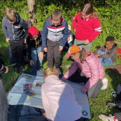 Die dritten Klassen der Hardtschule im Wald